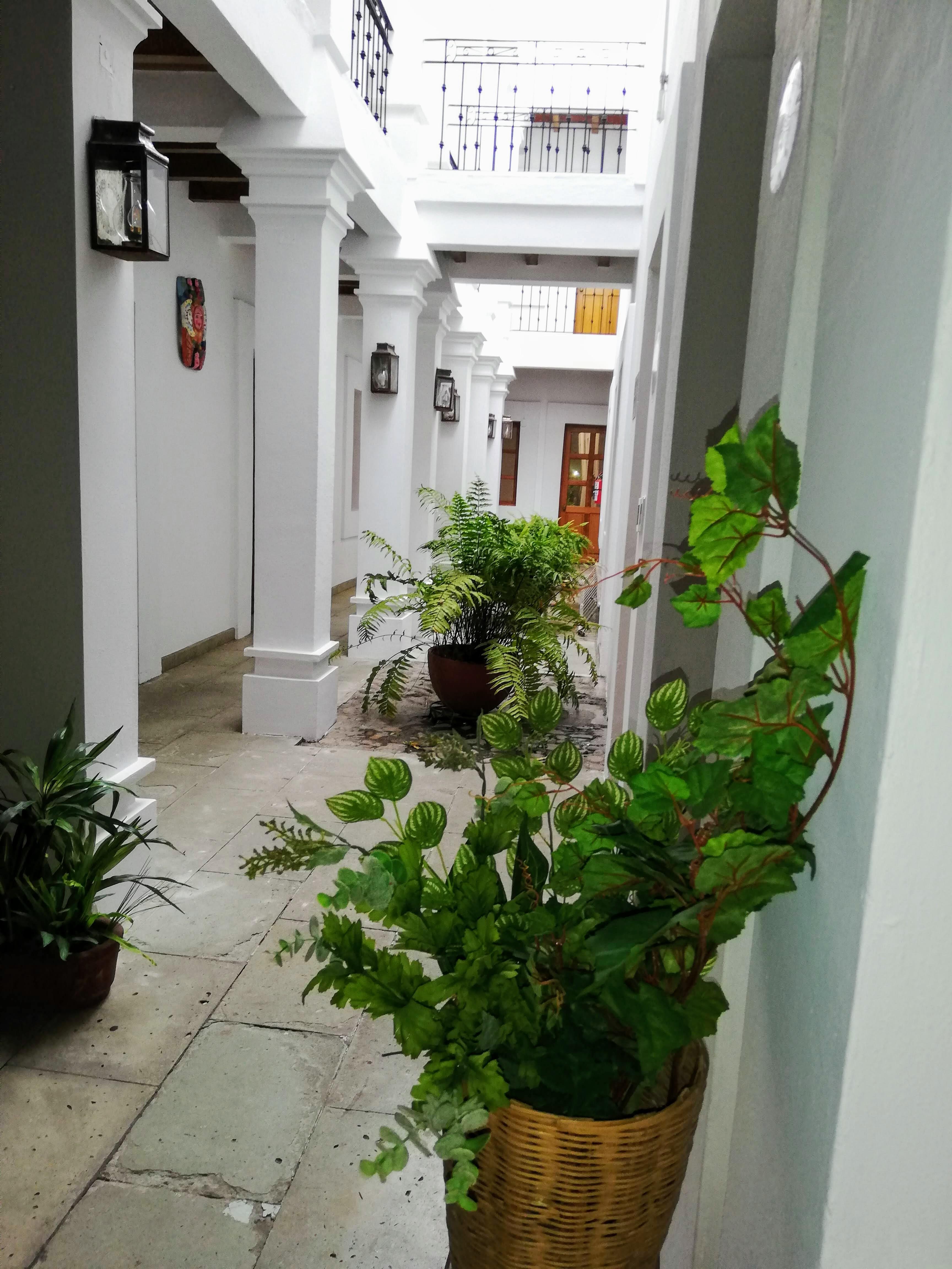 Hotel Aitana Oaxaca Ngoại thất bức ảnh