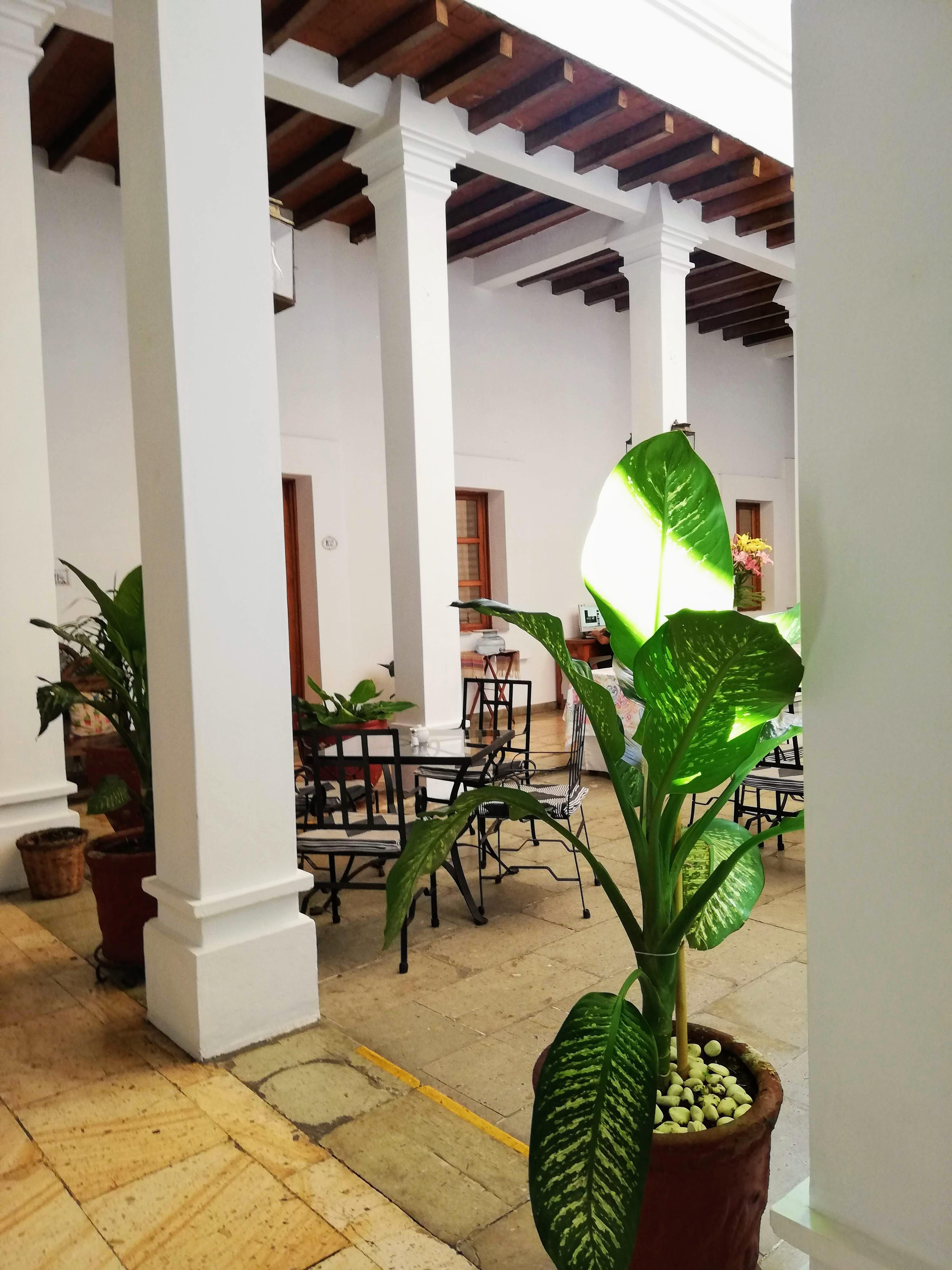 Hotel Aitana Oaxaca Ngoại thất bức ảnh